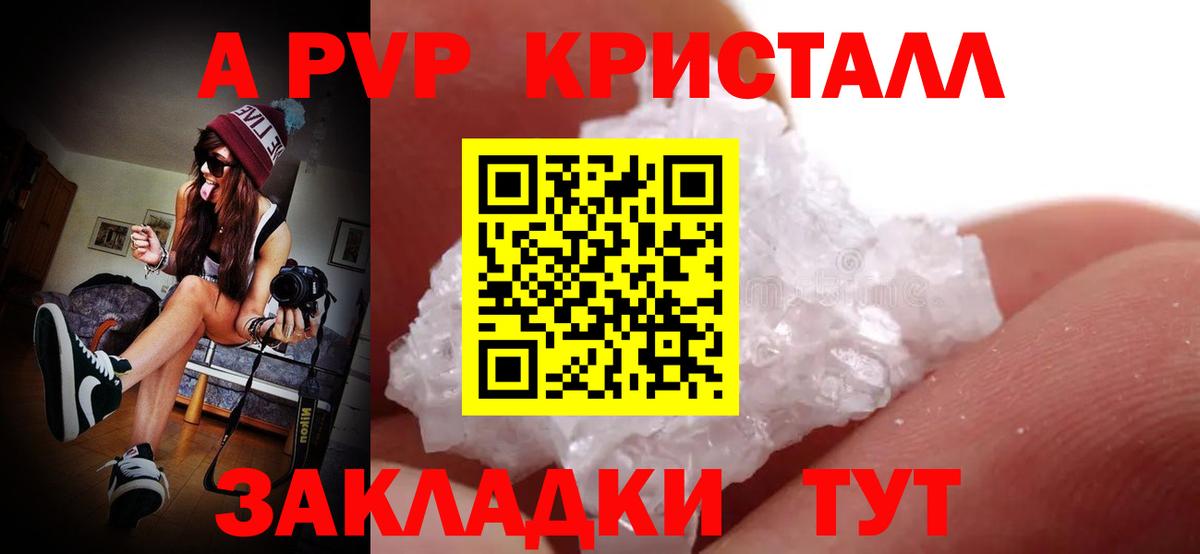 Альфа ПВП СК КРИС Губкинский