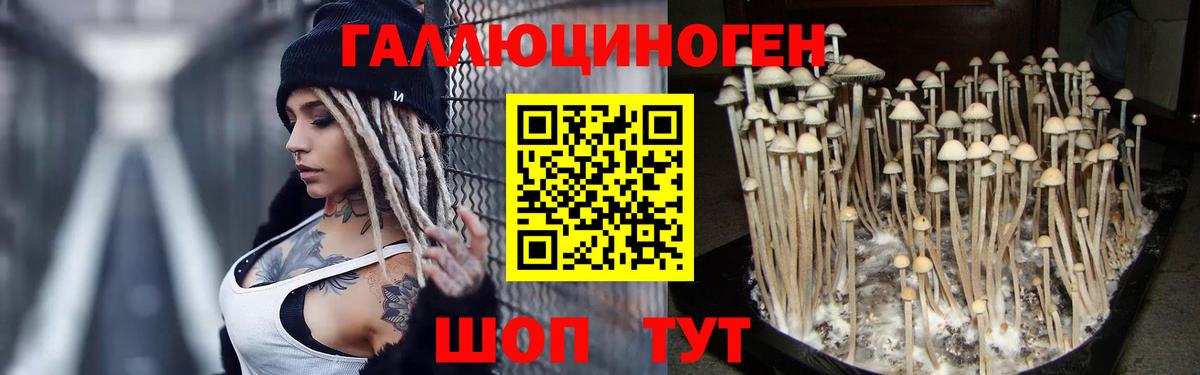 Псилоцибиновые грибы мухоморы  Вход с VPN  Губкинский  Псилоцибиновые грибы мицелий 